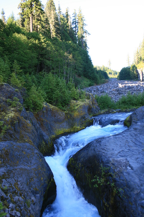 20110730-074851 IMG 8592