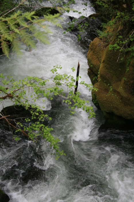 20110619-141802 IMG 8394