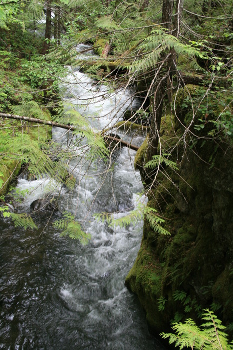 20110619-141826 IMG 8398