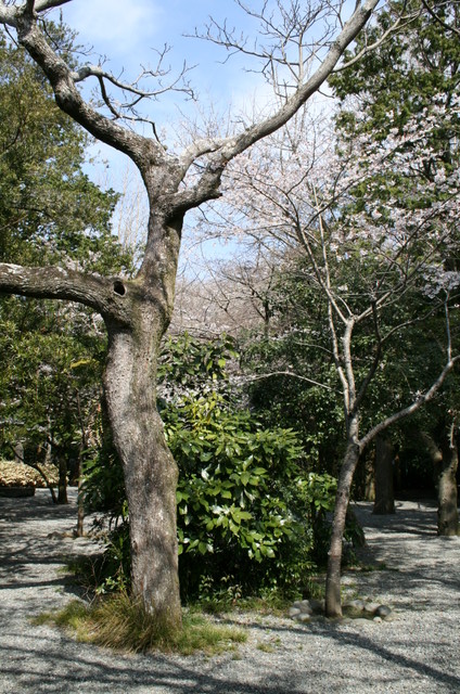 20080329-094438 IMG 0743