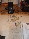 20100306-105703 DSCF6903