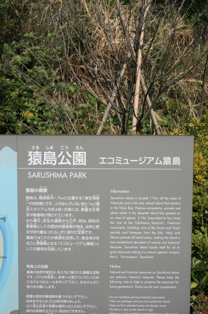 20080326-134912 IMG 0493