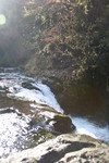 20111110-123424 IMG 8828