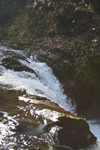 20111110-123444 IMG 8832