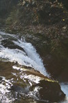 20111110-123444 IMG 8833