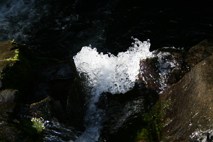 20111110-123511 IMG 8834