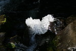 20111110-123512 IMG 8837