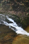 20111110-123551 IMG 8840