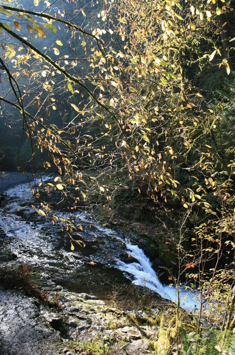 20111110-123701 IMG 8842