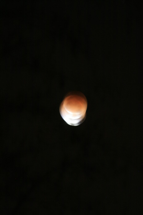 20111210-055813 IMG 8960