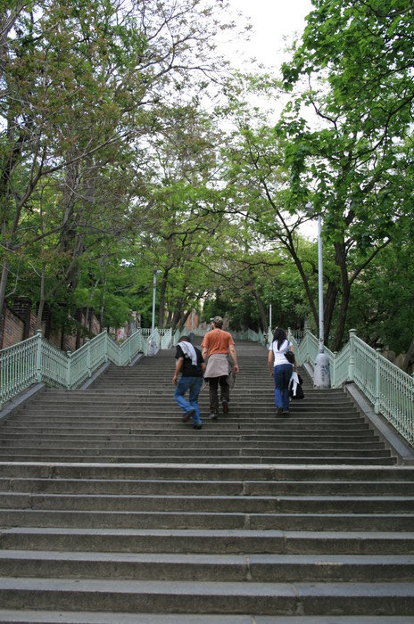 20080517-181907 IMG 1837