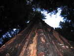thanksgiving 05 019.jpg