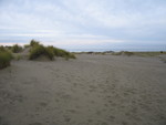 thanksgiving 05 027.jpg