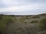 thanksgiving 05 028.jpg