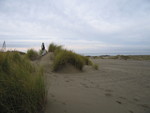 thanksgiving 05 031.jpg